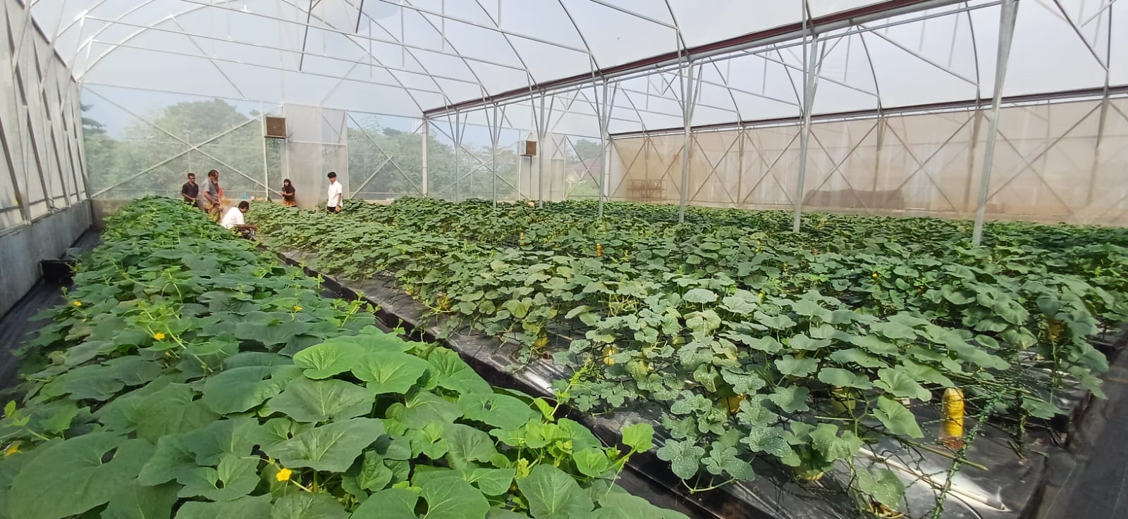 CSR & Sustainability