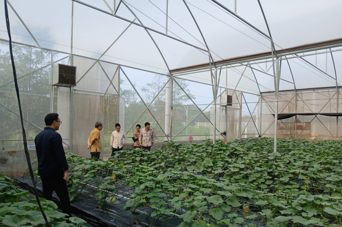 CJP greenhouse facility for melon cultivation